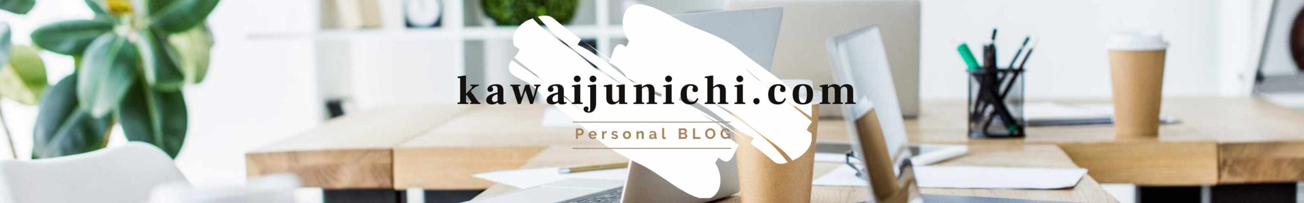 kawaijunichi.com